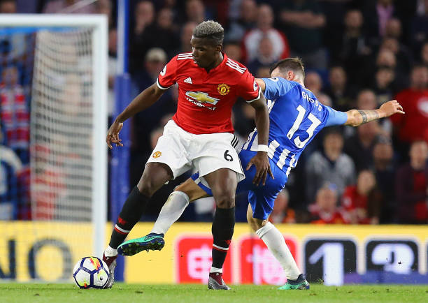 迷的目光 迷的目光